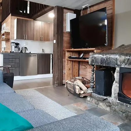 Koivurannan Lomamoekit Kotkanpesae Chalet *