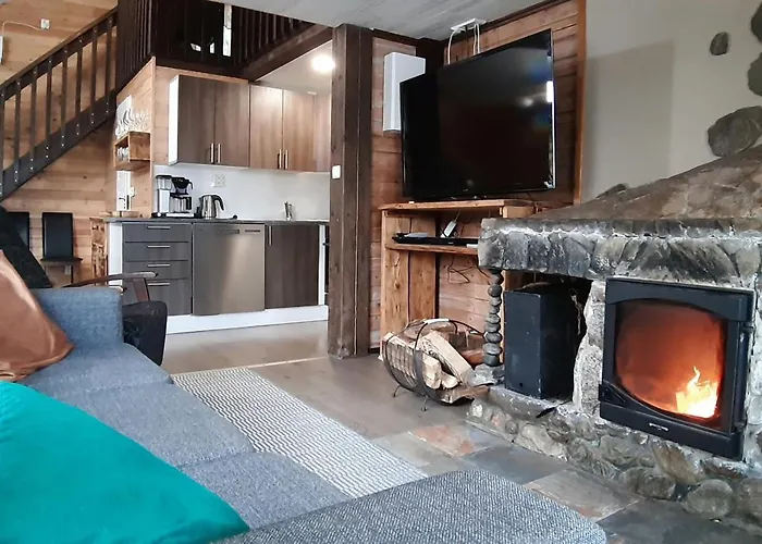 Koivurannan Lomamoekit Kotkanpesae 木屋 *