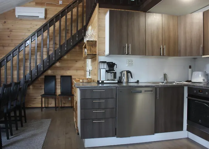 Koivurannan Lomamoekit Kotkanpesae 木屋 米凯利